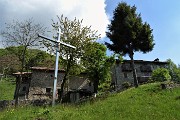 Monte Zucco (1232 m) da casa-Zogno (300 m) ad anello sui sent. CAI-505 e 505A il 16 maggio 2019 - FOTOGALLERY